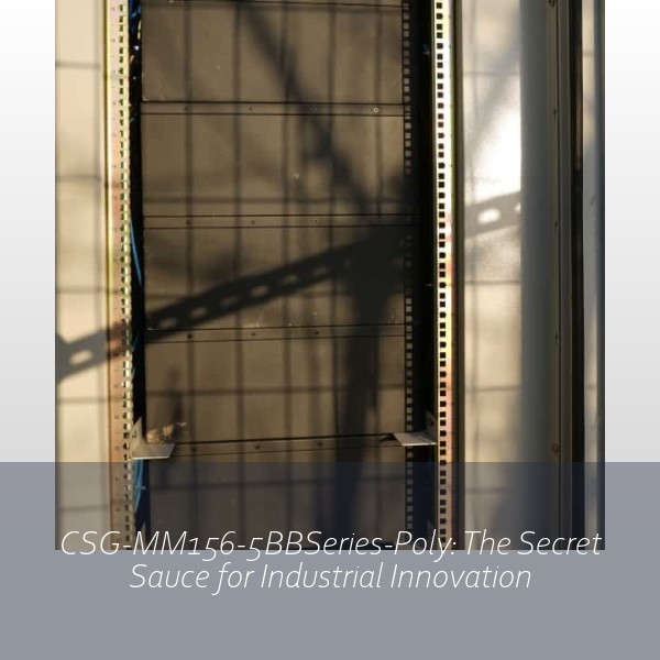 CSG-MM156-5BBSeries-Poly: The Secret Sauce for Industrial Innovation