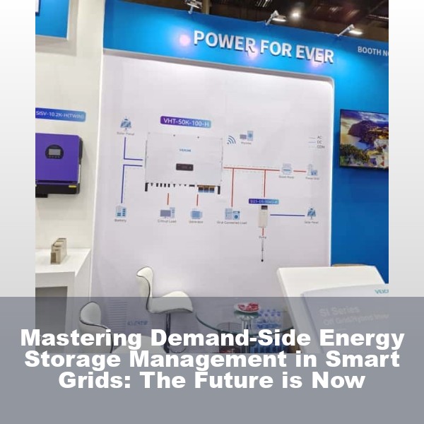 Mastering Demand-Side Energy Storage Management in Smart Grids: The Future is Now