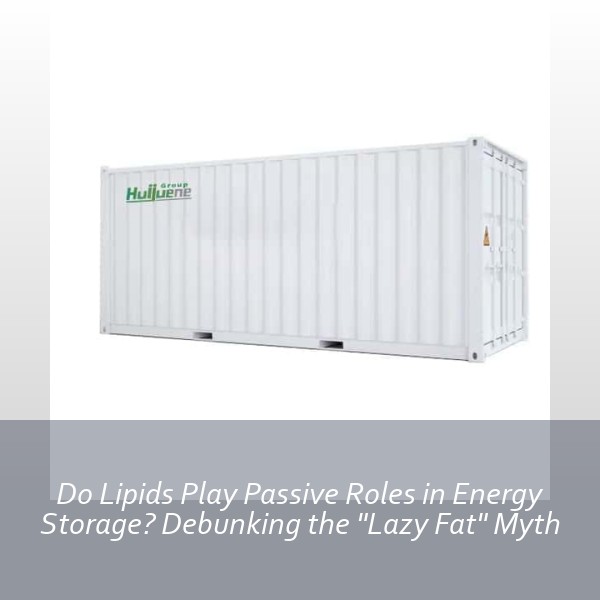 Do Lipids Play Passive Roles in Energy Storage? Debunking the 