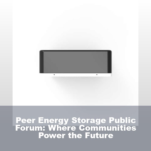 Peer Energy Storage Public Forum: Where Communities Power the Future