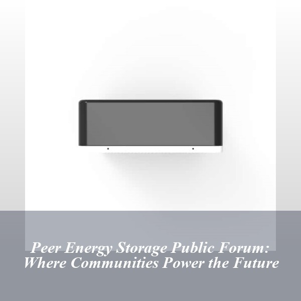 Peer Energy Storage Public Forum: Where Communities Power the Future