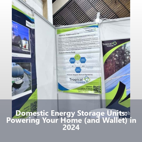 Domestic Energy Storage Units: Powering Your Home (and Wallet) in 2024
