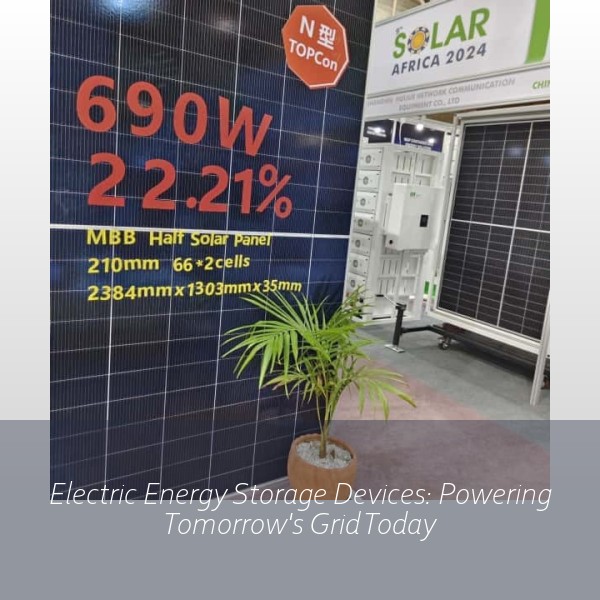 Electric Energy Storage Devices: Powering Tomorrow's Grid Today