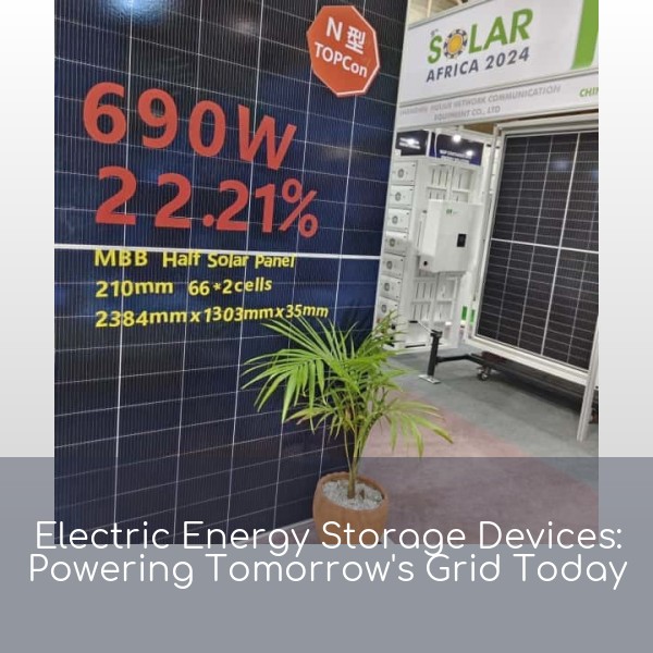 Electric Energy Storage Devices: Powering Tomorrow's Grid Today