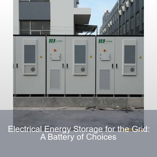Electrical Energy Storage for the Grid: A Battery of Choices
