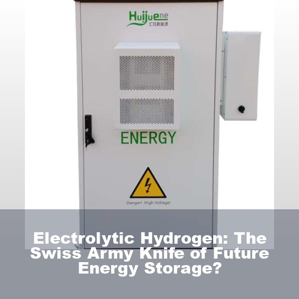 Electrolytic Hydrogen: The Swiss Army Knife of Future Energy Storage?