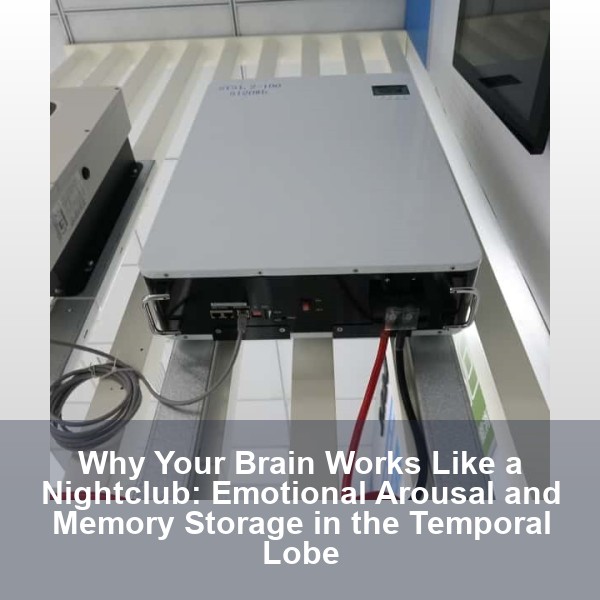 Why Your Brain Works Like a Nightclub: Emotional Arousal and Memory Storage in the Temporal Lobe