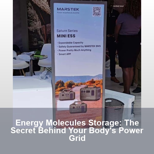 Energy Molecules Storage: The Secret Behind Your Body's Power Grid