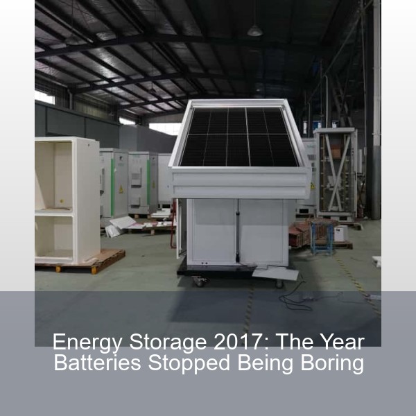 Energy Storage 2017: The Year Batteries Stopped Being Boring