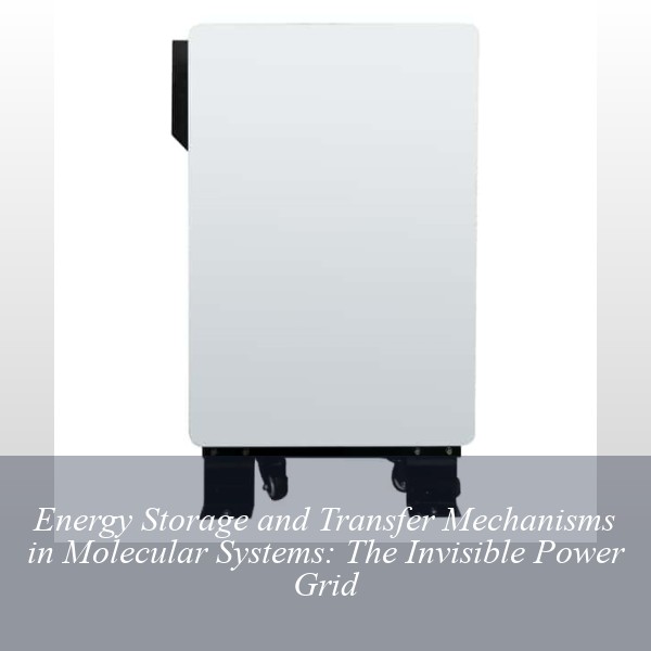 Energy Storage and Transfer Mechanisms in Molecular Systems: The Invisible Power Grid