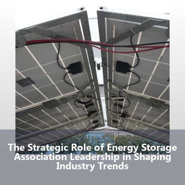 The Strategic Role of Energy Storage Association Leadership in Shaping Industry Trends