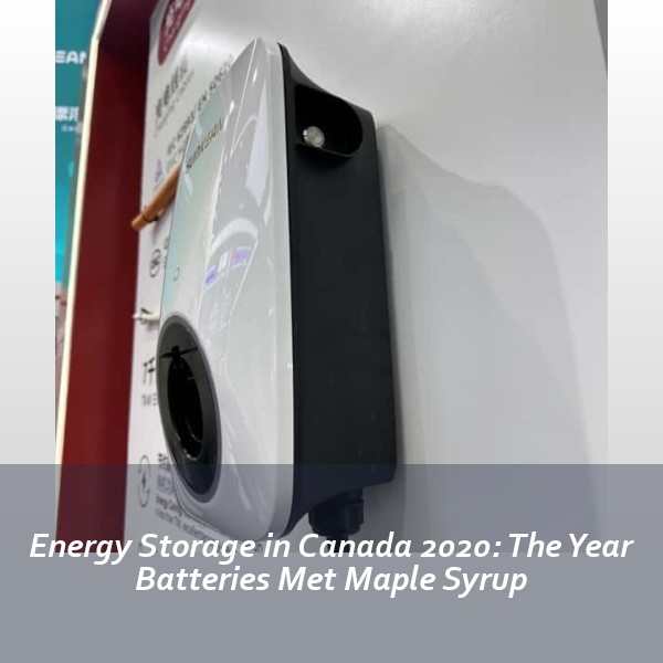 Energy Storage in Canada 2020: The Year Batteries Met Maple Syrup
