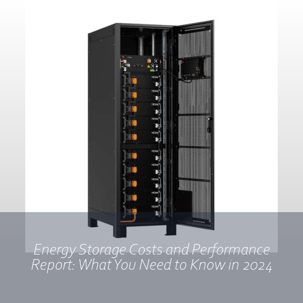 Energy Storage Costs and Performance Report: What You Need to Know in 2024