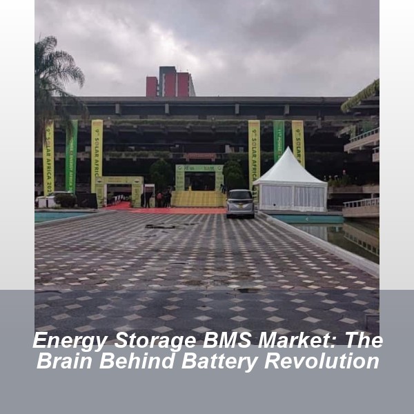Energy Storage BMS Market: The Brain Behind Battery Revolution