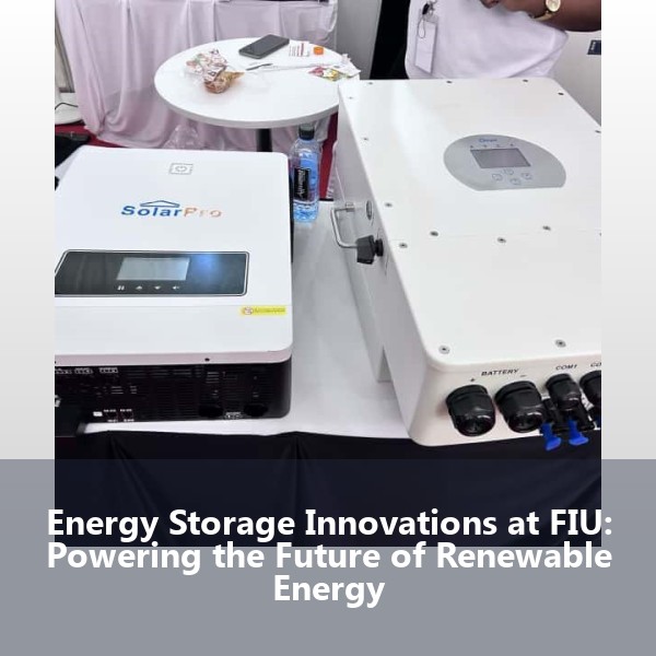 Energy Storage Innovations at FIU: Powering the Future of Renewable Energy