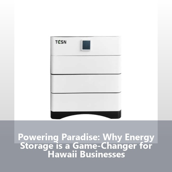 Powering Paradise: Why Energy Storage is a Game-Changer for Hawaii Businesses