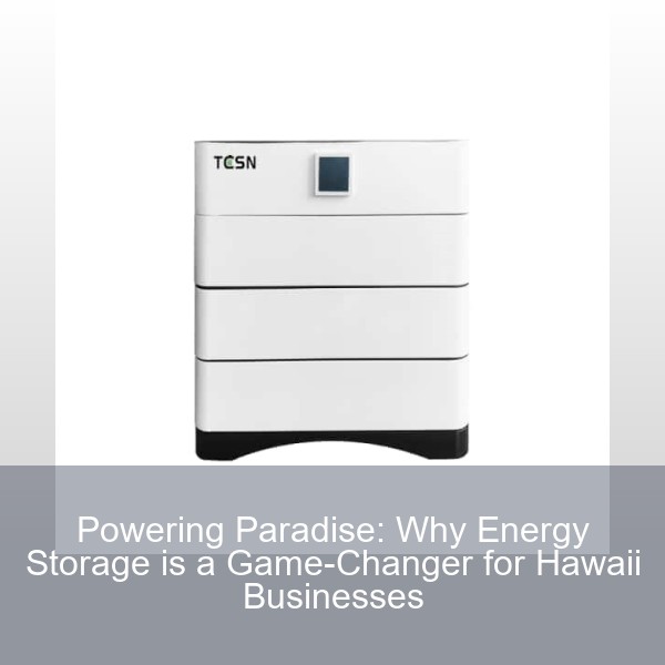 Powering Paradise: Why Energy Storage is a Game-Changer for Hawaii Businesses