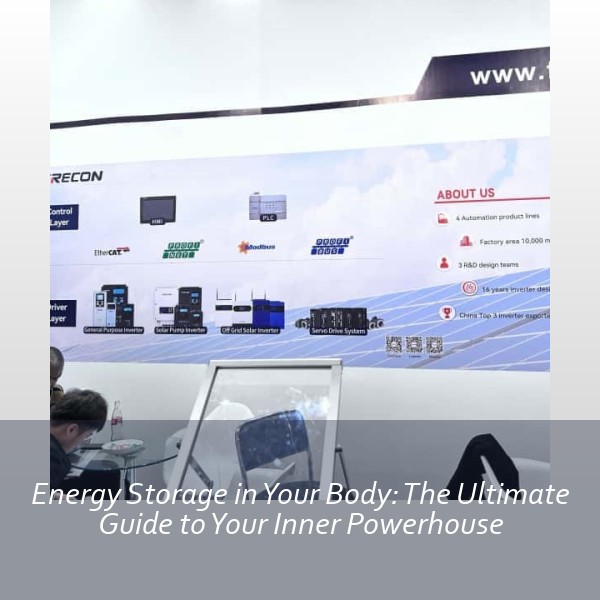 Energy Storage in Your Body: The Ultimate Guide to Your Inner Powerhouse