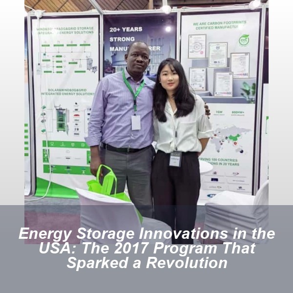Energy Storage Innovations in the USA: The 2017 Program That Sparked a Revolution