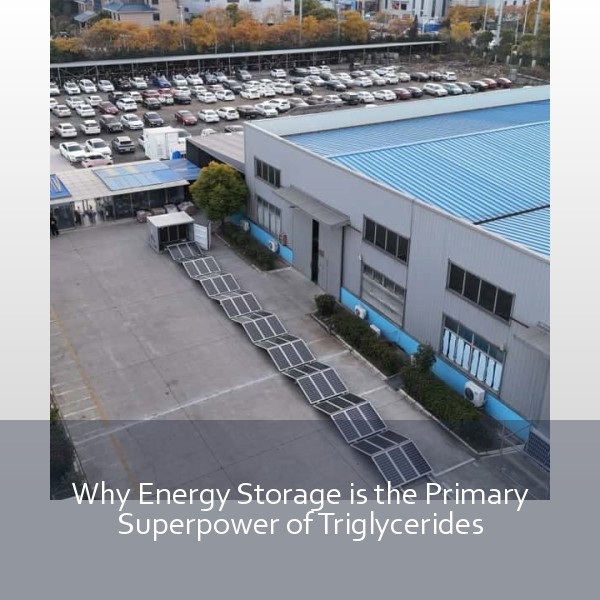Why Energy Storage is the Primary Superpower of Triglycerides