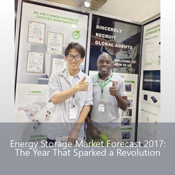 Energy Storage Market Forecast 2017: The Year That Sparked a Revolution