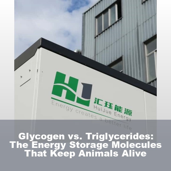 Glycogen vs. Triglycerides: The Energy Storage Molecules That Keep Animals Alive