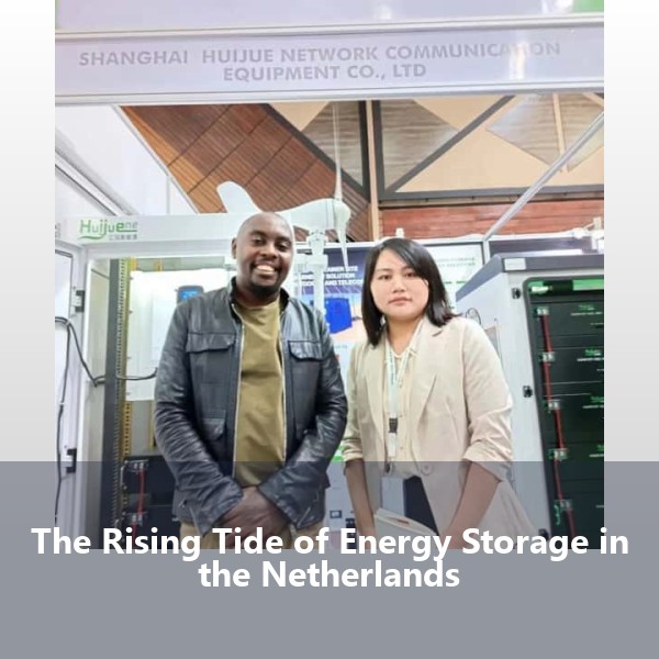 The Rising Tide of Energy Storage in the Netherlands