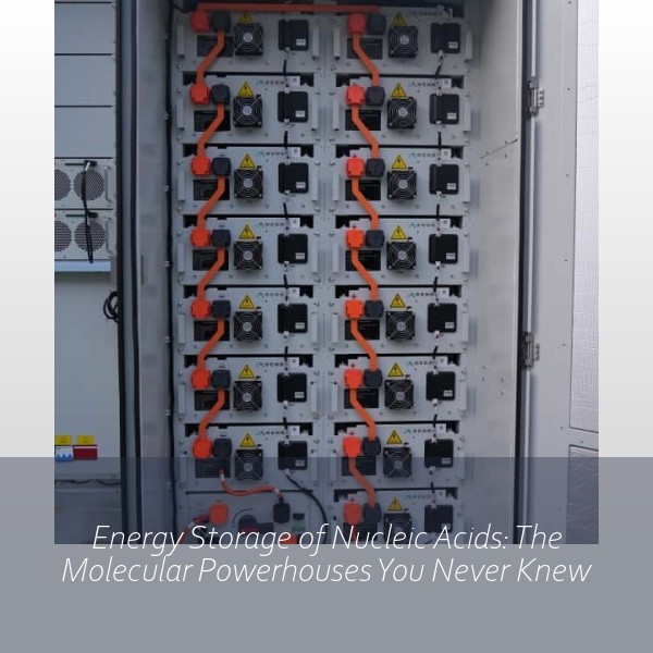 Energy Storage of Nucleic Acids: The Molecular Powerhouses You Never Knew