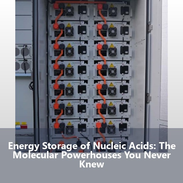 Energy Storage of Nucleic Acids: The Molecular Powerhouses You Never Knew