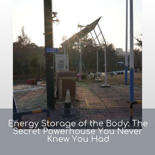 Energy Storage of the Body: The Secret Powerhouse You Never Knew You Had