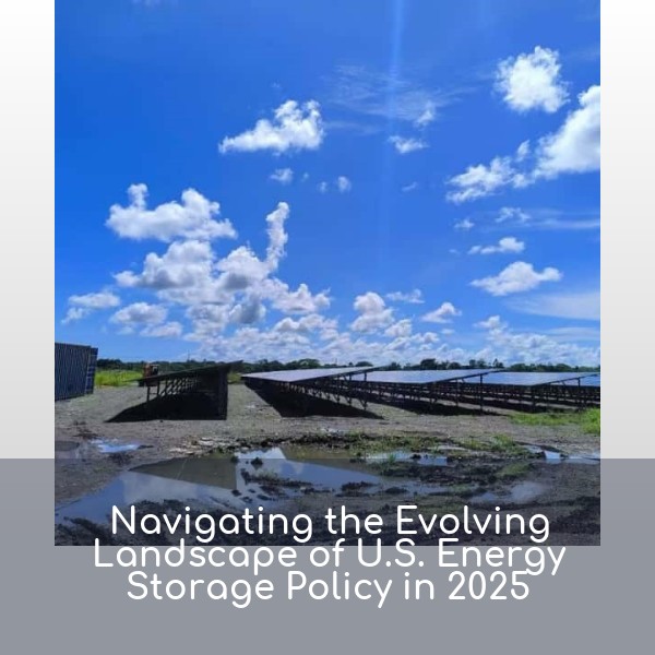Navigating the Evolving Landscape of U.S. Energy Storage Policy in 2025