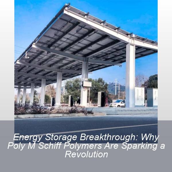 Energy Storage Breakthrough: Why Poly M Schiff Polymers Are Sparking a Revolution