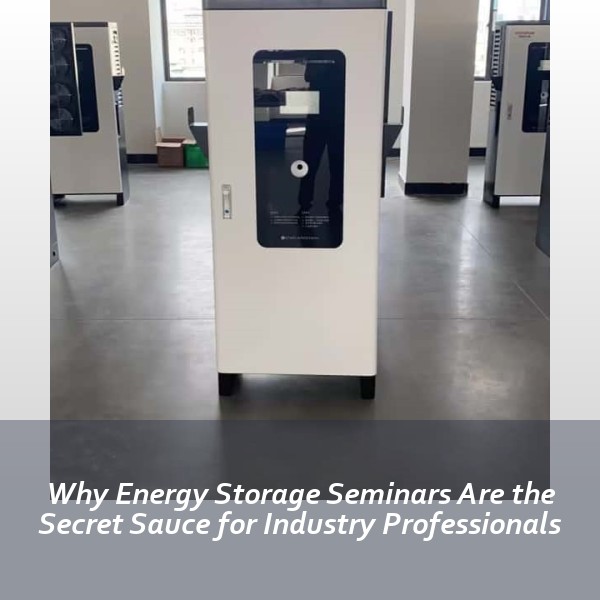 Why Energy Storage Seminars Are the Secret Sauce for Industry Professionals