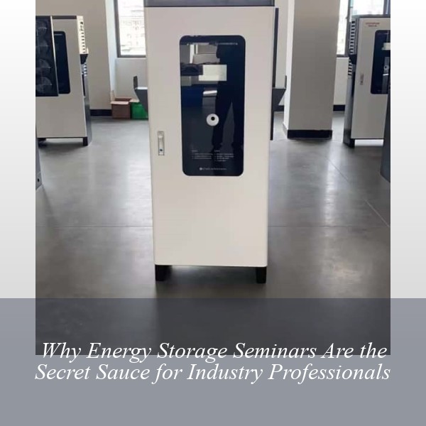 Why Energy Storage Seminars Are the Secret Sauce for Industry Professionals