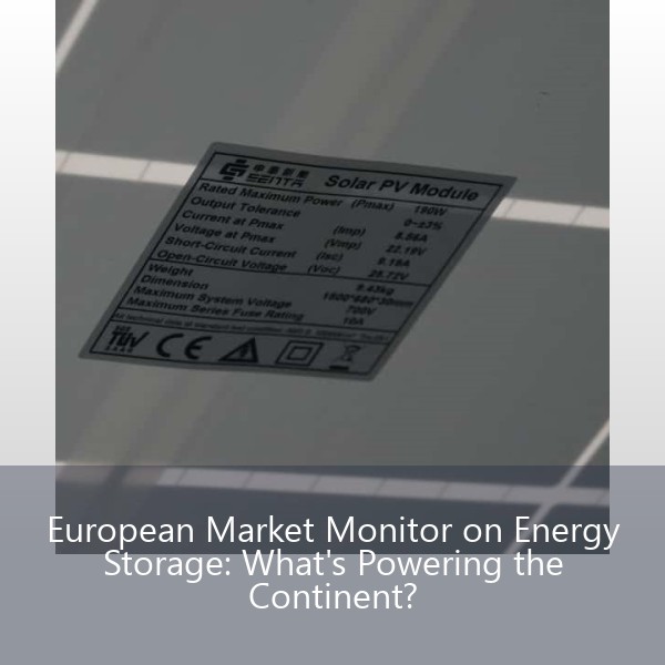 European Market Monitor on Energy Storage: What's Powering the Continent?