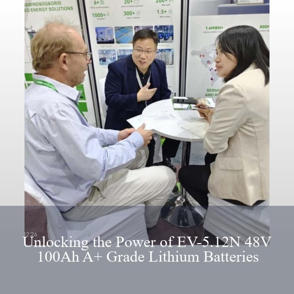 Unlocking the Power of EV-5.12N 48V 100Ah A+ Grade Lithium Batteries
