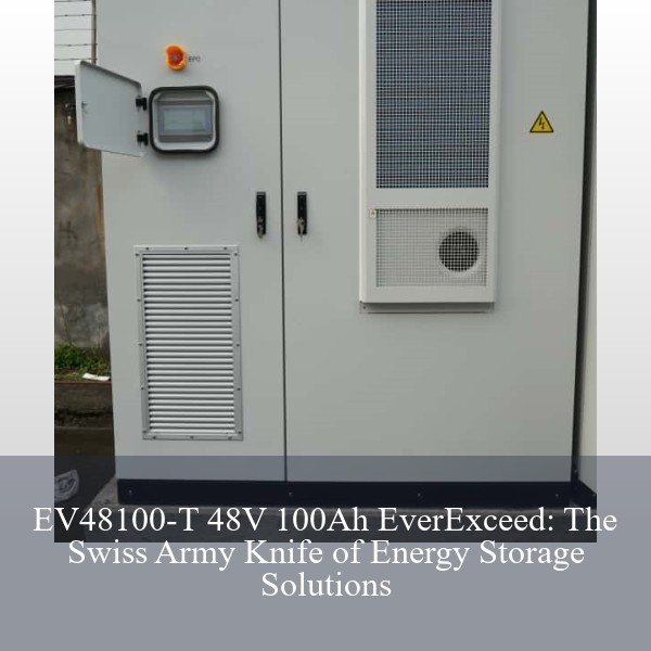 EV48100-T 48V 100Ah EverExceed: The Swiss Army Knife of Energy Storage Solutions