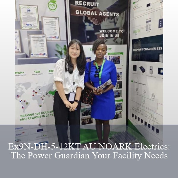 Ex9N-DH-5-12KT AU NOARK Electrics: The Power Guardian Your Facility Needs