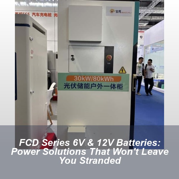 FCD Series 6V & 12V Batteries: Power Solutions That Won't Leave You Stranded