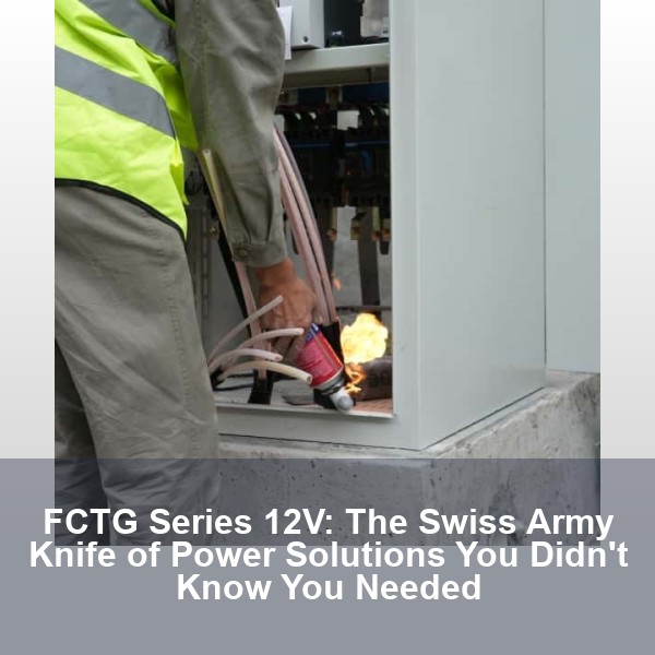 FCTG Series 12V: The Swiss Army Knife of Power Solutions You Didn't Know You Needed