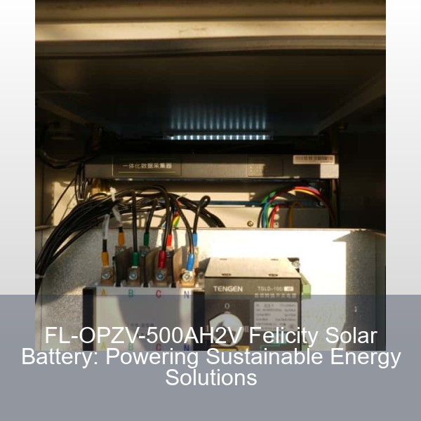 FL-OPZV-500AH2V Felicity Solar Battery: Powering Sustainable Energy Solutions