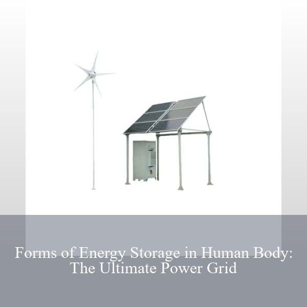 Forms of Energy Storage in Human Body: The Ultimate Power Grid