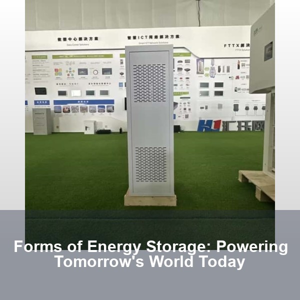 Forms of Energy Storage: Powering Tomorrow's World Today