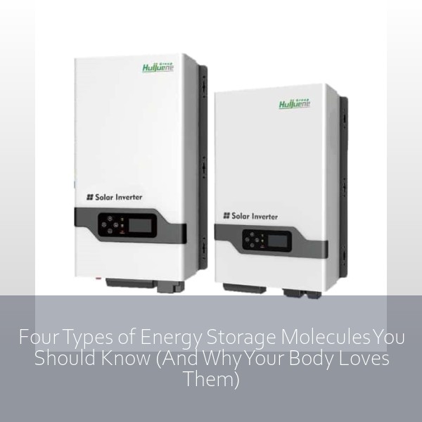Four Types of Energy Storage Molecules You Should Know (And Why Your Body Loves Them)