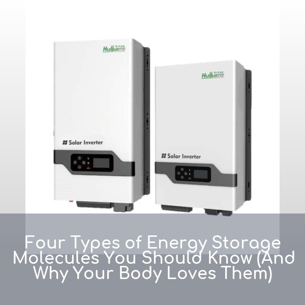 Four Types of Energy Storage Molecules You Should Know (And Why Your Body Loves Them)
