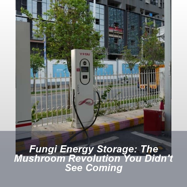 Fungi Energy Storage: The Mushroom Revolution You Didn't See Coming