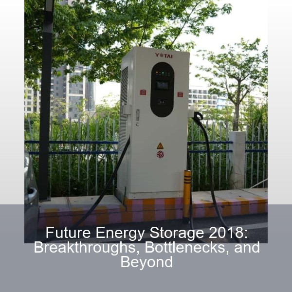 Future Energy Storage 2018: Breakthroughs, Bottlenecks, and Beyond