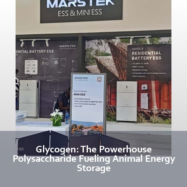 Glycogen: The Powerhouse Polysaccharide Fueling Animal Energy Storage