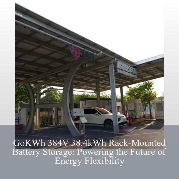 GoKWh 384V 38.4kWh Rack-Mounted Battery Storage: Powering the Future of Energy Flexibility