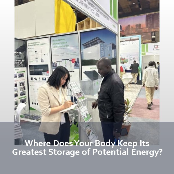 Where Does Your Body Keep Its Greatest Storage of Potential Energy?